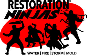 Water | Fire | Mold | Storm